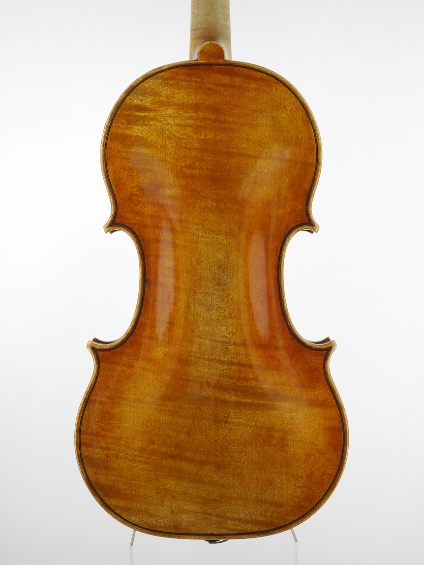 violin back